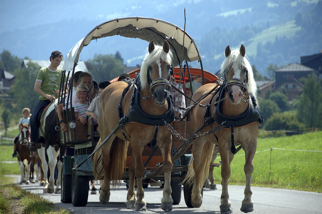 Aich Pony-Western-Tour Beim Reiterhof Aigner