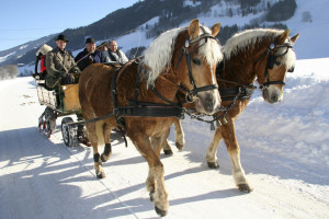 Pferdekutschenfahrt